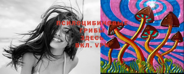 мяу мяу кристалл Инта