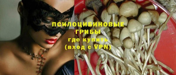 МДМА Инсар