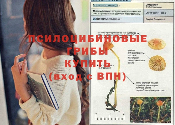 метадон Иннополис