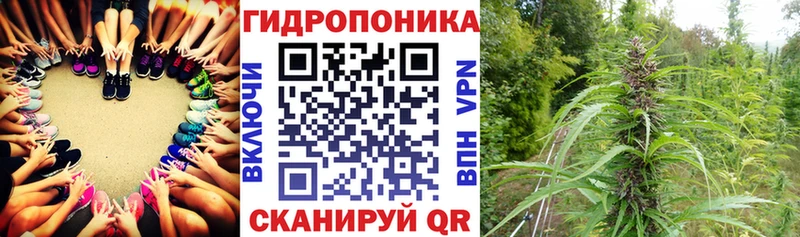 Бошки Шишки сатива  Купить  Грязи 